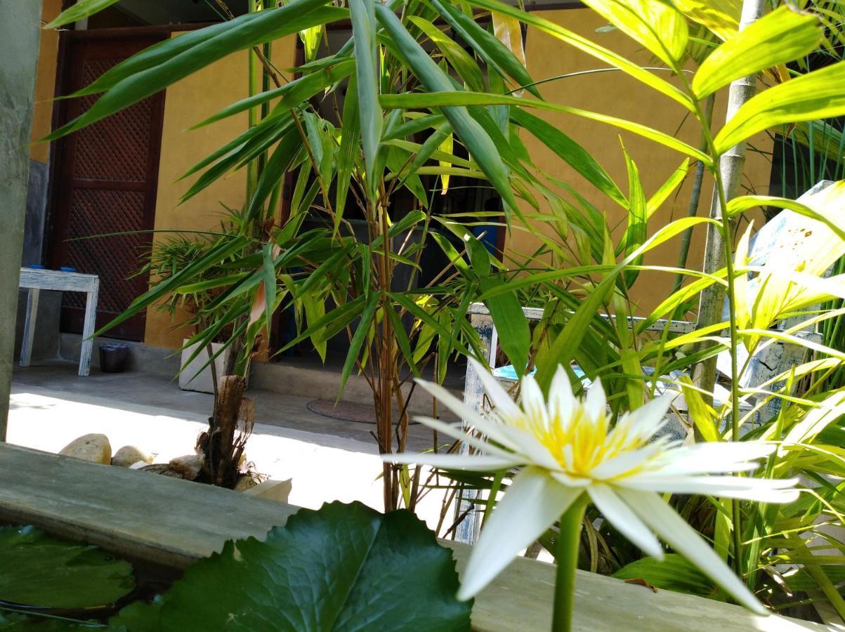 Cycling Backpacker Hostel & Cafe ウナワトゥナ エクステリア 写真